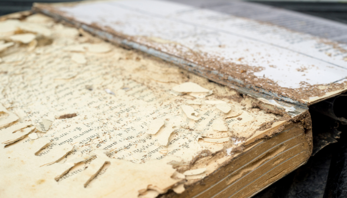 Digitise or Disappear – Saving Our Historic Headlines