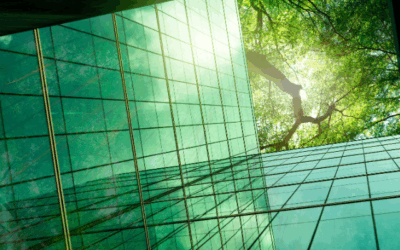 Sustainability Through Digitisation: Why Going Digital is Greener